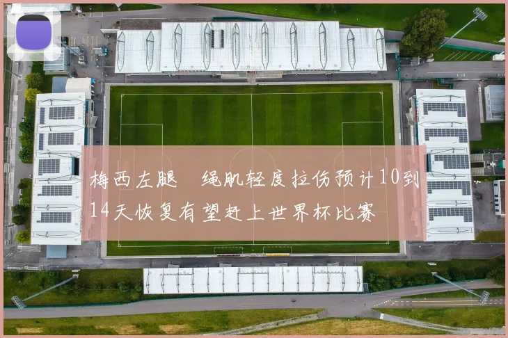 梅西左腿腘绳肌轻度拉伤预计10到14天恢复有望赶上世界杯比赛
