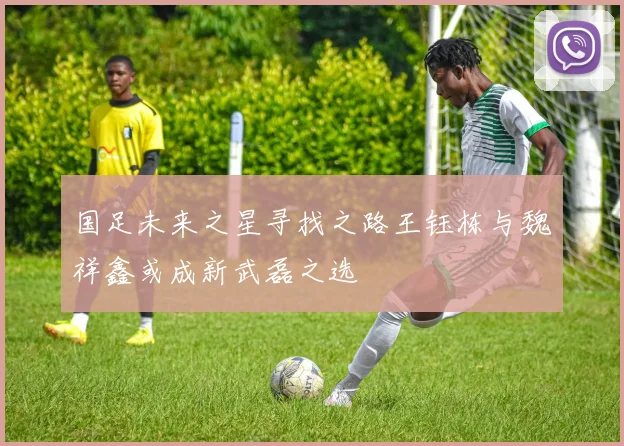 国足未来之星寻找之路王钰栋与魏祥鑫或成新武磊之选