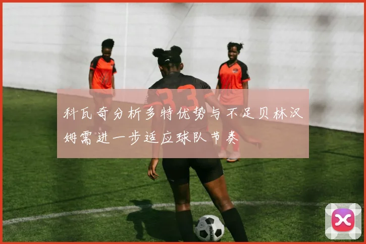 科瓦奇分析多特优势与不足贝林汉姆需进一步适应球队节奏